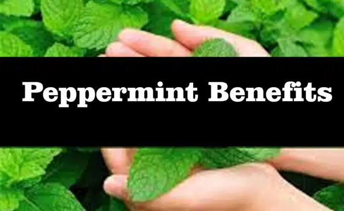 beneficial properties of peppermint