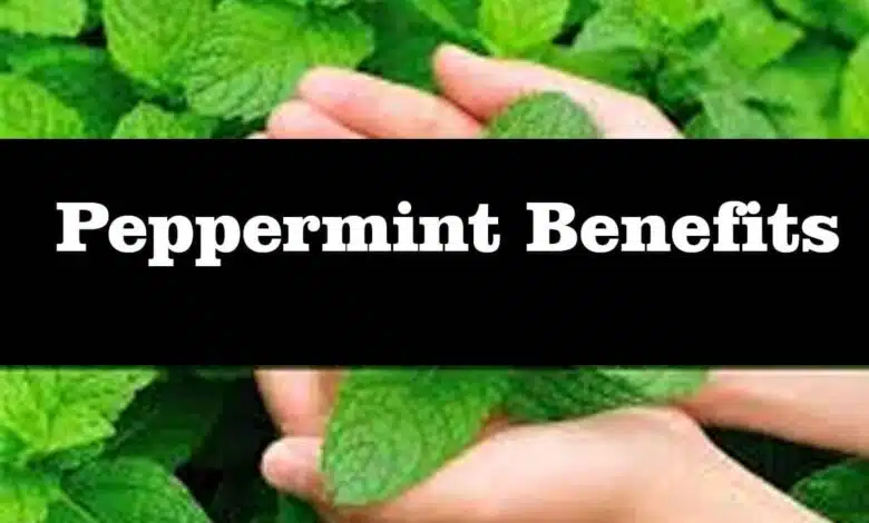 beneficial properties of peppermint