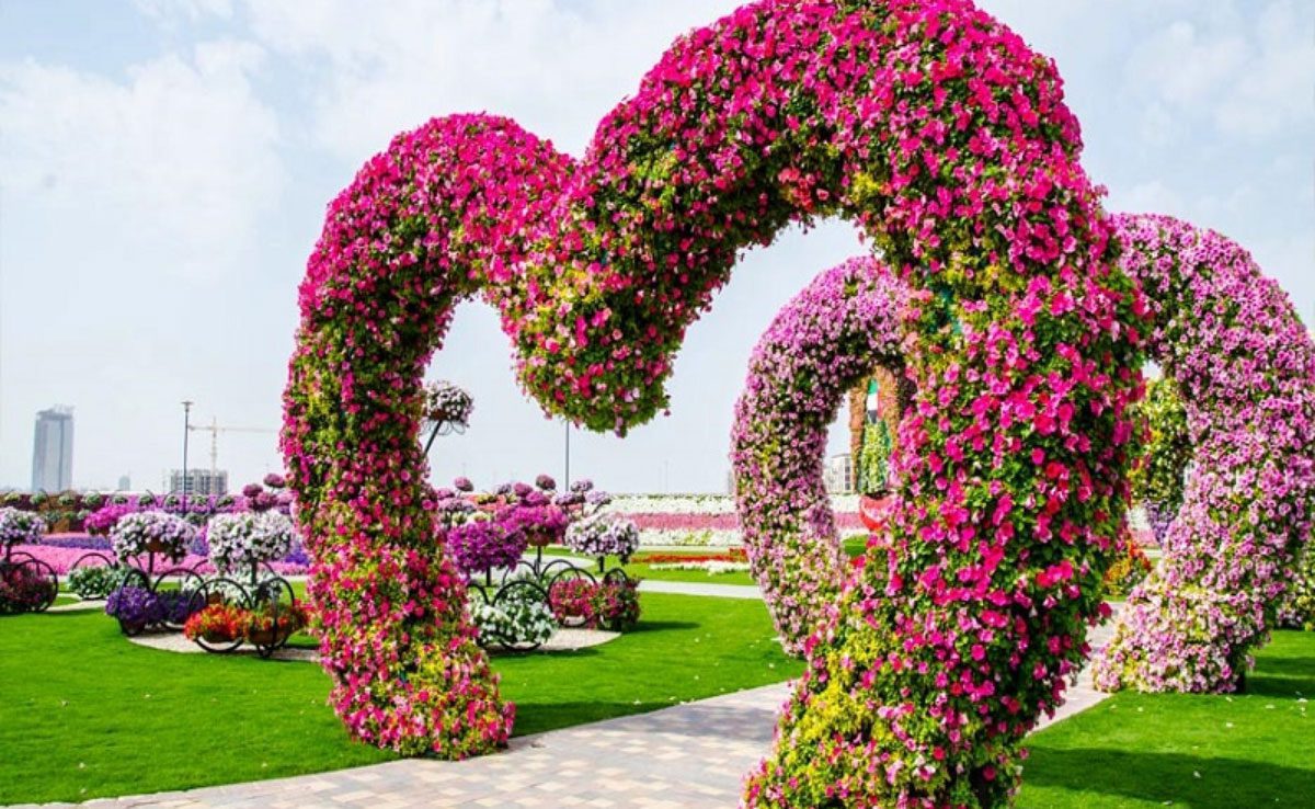 Rose Garden Chandigarh 7 Most Beautiful And Famous Gardens Of India