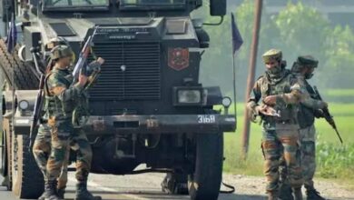 Security forces killed a terrorist in Pulwama