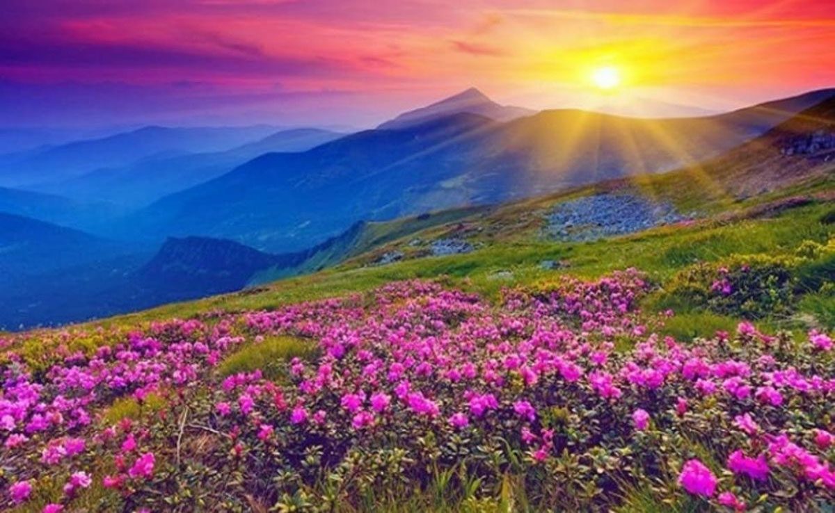 Valley of Flowers Chamoli 7 Most Beautiful And Famous Gardens Of India