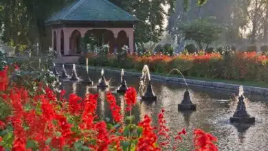 7 Most Beautiful And Famous Gardens Of India