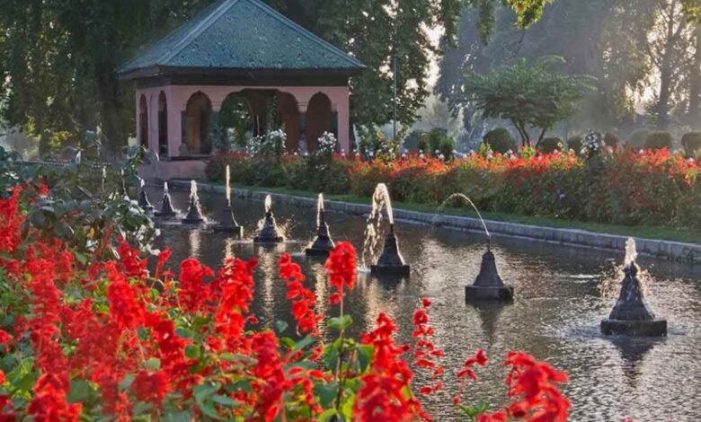 7 Most Beautiful And Famous Gardens Of India