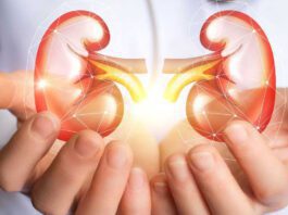 Easy and effective home remedies to keep kidney healthy