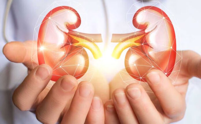 Easy and effective home remedies to keep kidney healthy