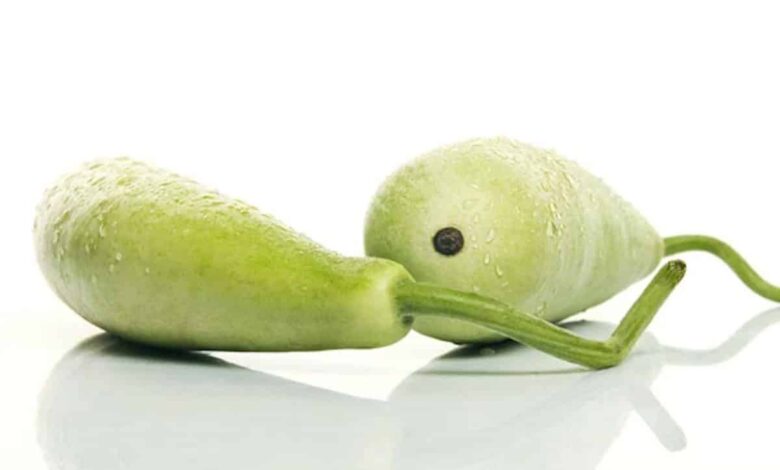 lauki ki chutney recipe