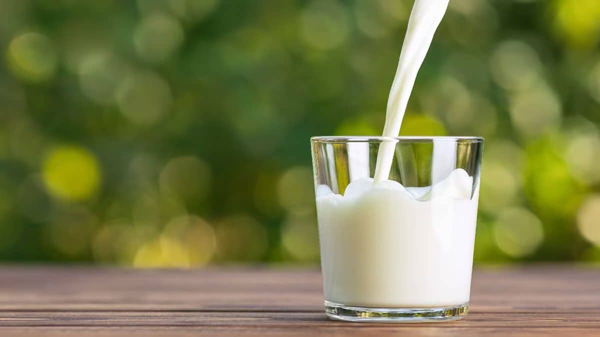 These 5 foods will help you quit smoking