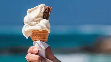 5 Summer Beating Foods That Keep Your Stomach Cool