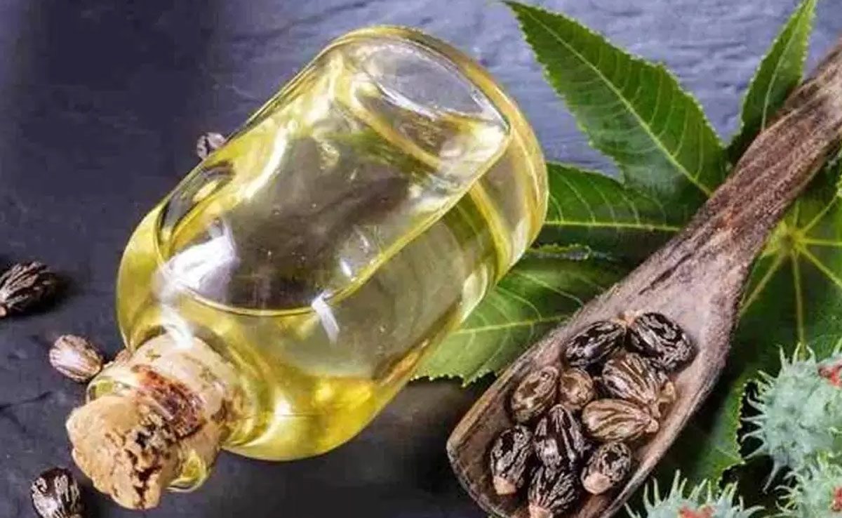 8 Natural Hair Oils to Reduce Dandruff