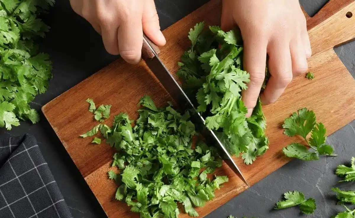 5 Easy Ways To Keep Coriander Fresh For Longer