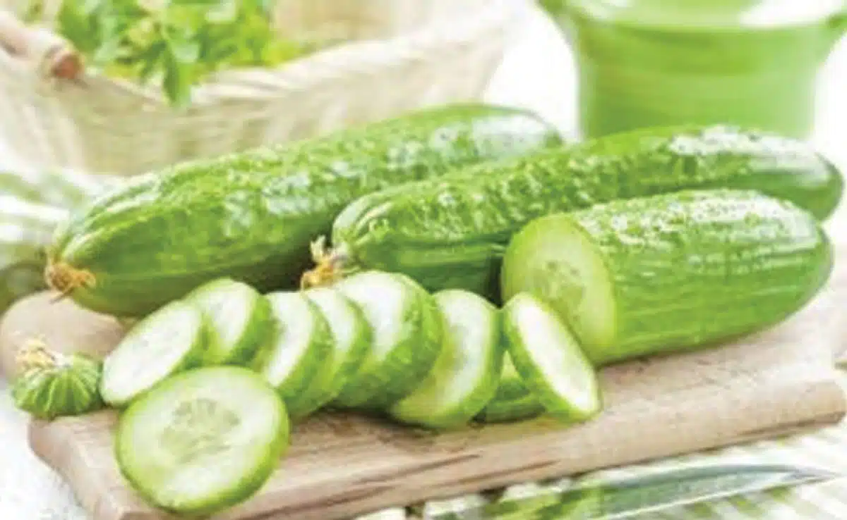 7 foods to keep the body cool in summer