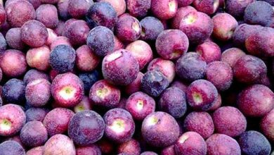 5 Health Benefits Of Falsa, Falsa Sharbat Recipe