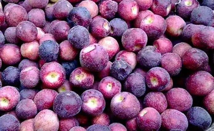 5 Health Benefits Of Falsa, Falsa Sharbat Recipe