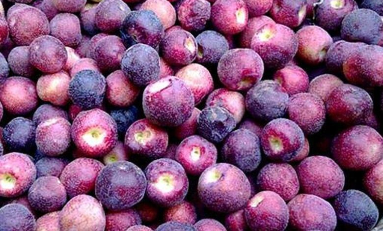 5 Health Benefits Of Falsa, Falsa Sharbat Recipe