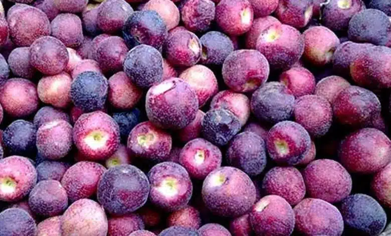 5 Health Benefits Of Falsa, Falsa Sharbat Recipe