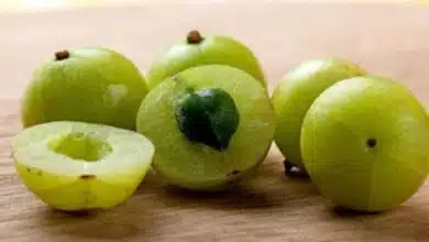 Five easy ways to keep Amla safe for a long time
