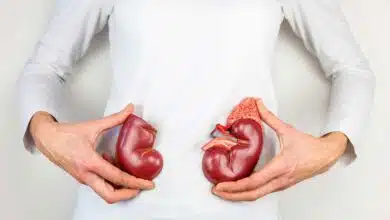 5 essential herbs for kidney health