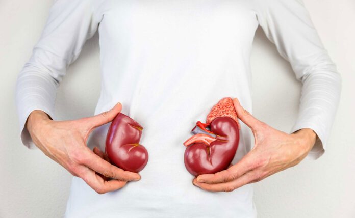 5 essential herbs for kidney health