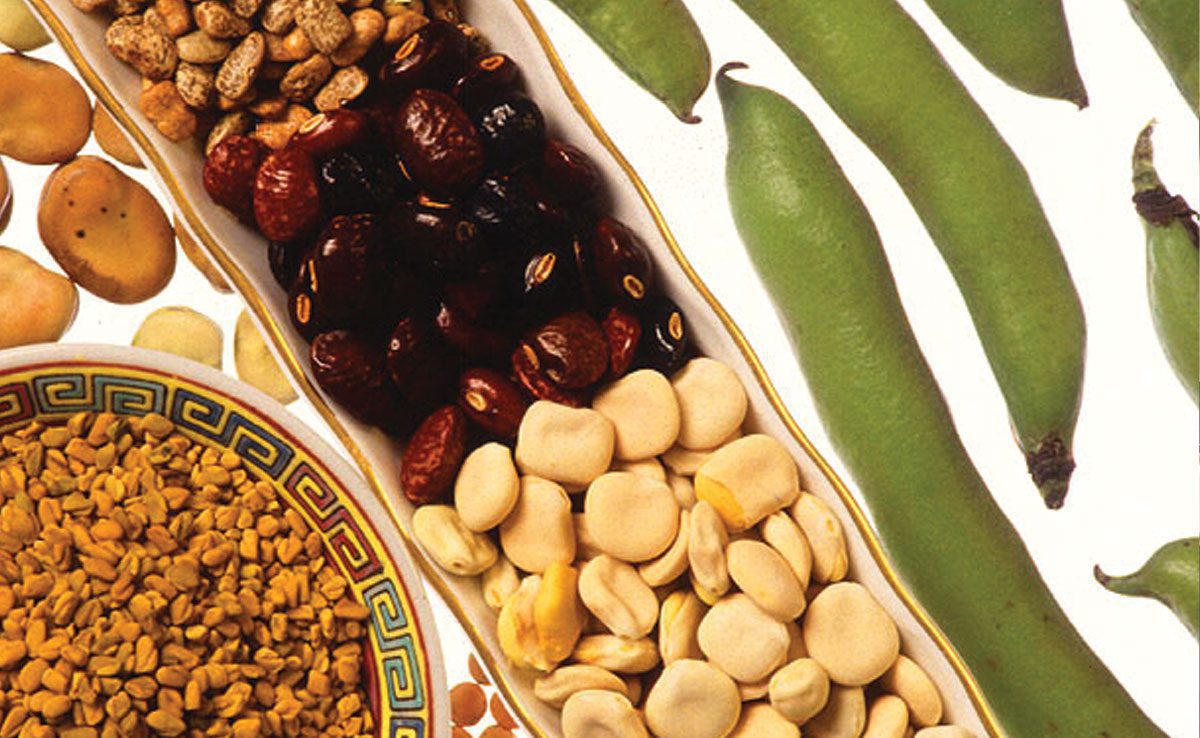 food and drink to avoid during chaitra navratri 2023