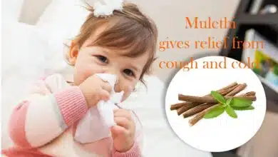 Ways to use Mulethi for cold and cough