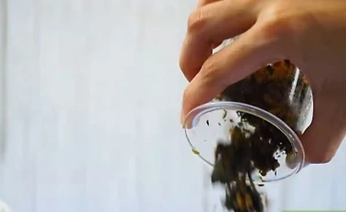 Remaining Tea Leaves 1 Use of Remaining Tea Leaves