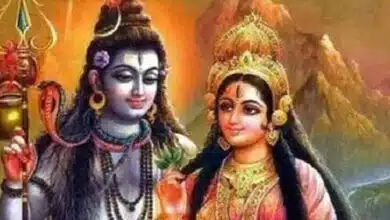 Solah Somwar 2023: Date, Worship Method and Mantra