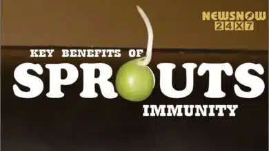 Key Benefits of Sprouts Immunity