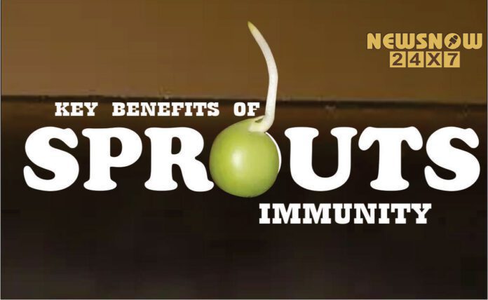 Key Benefits of Sprouts Immunity