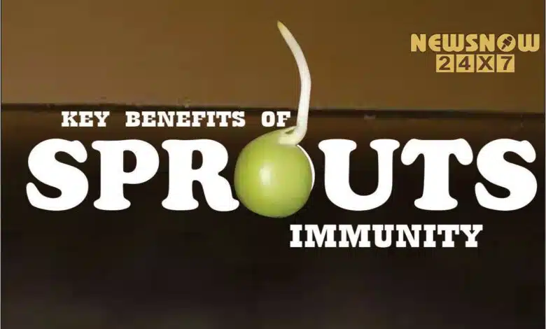 Key Benefits of Sprouts Immunity