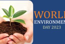 7 Famous Environmental Movements in India