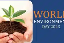 7 Famous Environmental Movements in India