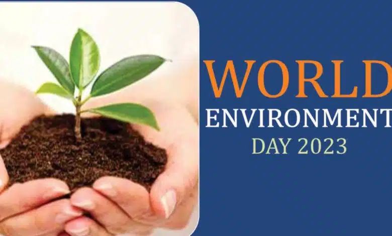 7 Famous Environmental Movements in India