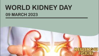 World Kidney Day 2023: Healthy kidney-friendly foods