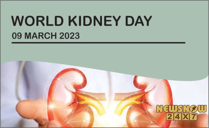 World Kidney Day 2023: Healthy kidney-friendly foods