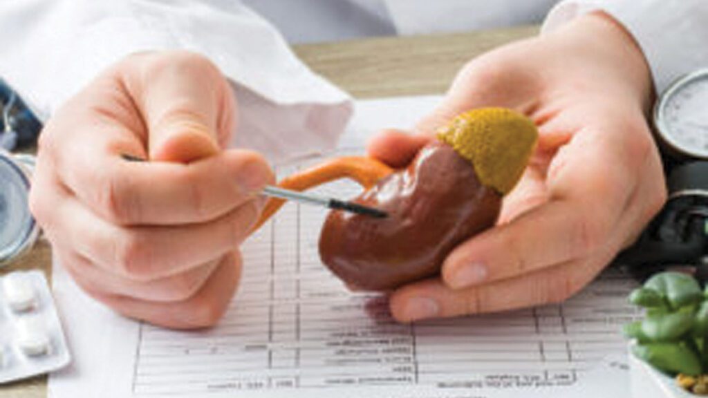 World Kidney Day 2023: Healthy kidney-friendly foods