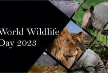 World Wildlife Day 2023: Partnership for wildlife conservation