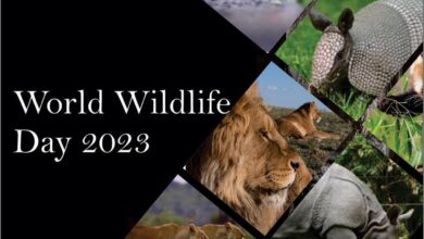 World Wildlife Day 2023: Partnership for wildlife conservation