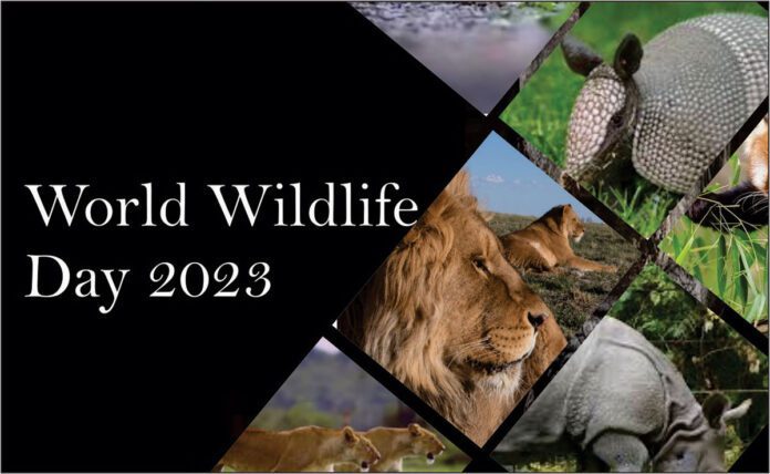 World Wildlife Day 2023: Partnership for wildlife conservation