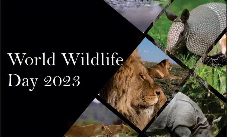 World Wildlife Day 2023: Partnership for wildlife conservation
