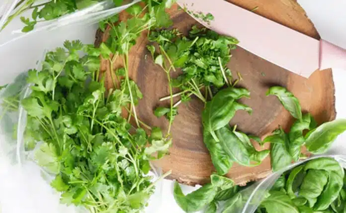 5 Easy Ways To Keep Coriander Fresh For Longer