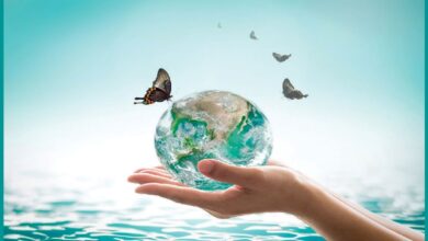 World Water Day 2023 Theme and Significance