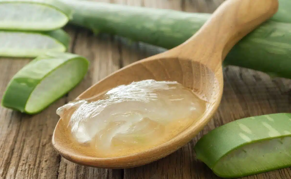 Best Home Remedies To Grow Bushy Eyebrows