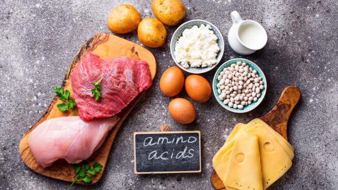 What should you eat to meet Amino Acids?