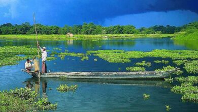 Culture, Cuisine, Art and Festivals of Assam