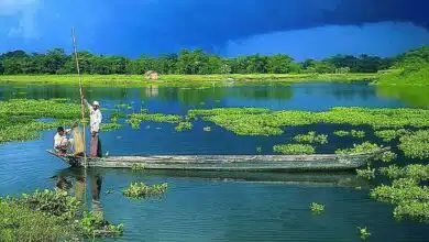 Culture, Cuisine, Art and Festivals of Assam