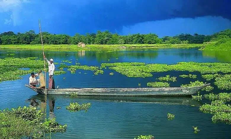 Culture, Cuisine, Art and Festivals of Assam