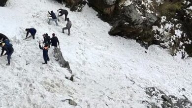 Avalanche Dead In 7 tourists in Sikkim