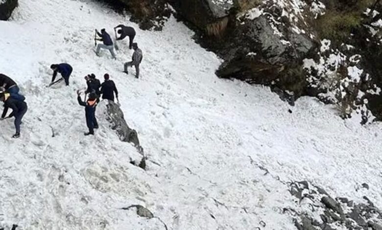 Avalanche Dead In 7 tourists in Sikkim