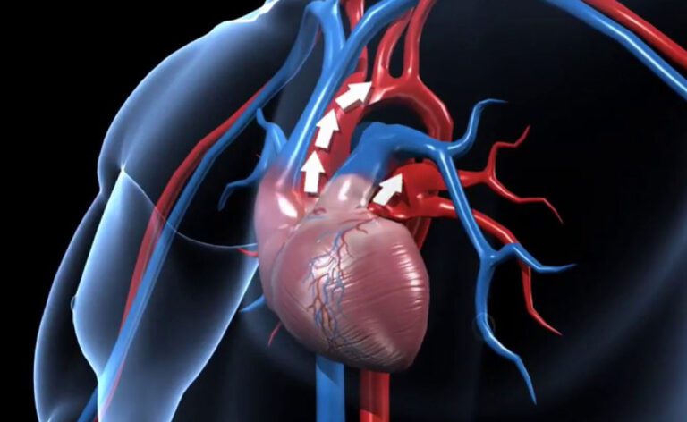 शरीर का Blood Circulation बढ़ाने के लिए खाएं ये खाद्य पदार्थ