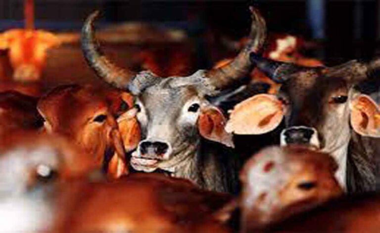 Cattle-Smuggling Case में तृणमूल के अभिषेक बनर्जी को सीबीआई ने तलब किया